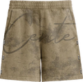 Dust Fade Stud Shorts